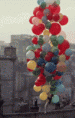 /album/fotogaleria/tumblr-mib3yshxeb1r9a32bo1-250-gif/