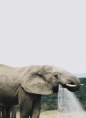 /album/fotogaleria/tumblr-mkp8kmdxtf1ronv5io1-500-png/