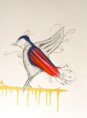 /album/fotogaleria/thumb-colibri-jpg/